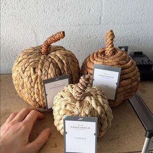 Threshold Natural Woven Pumpkin Trio